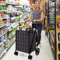 Chariot de courses utilitaire pliable avec double panier et doublure résistante à l'eau
